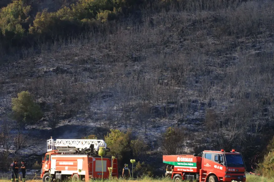 Antalya, Muğla ve Gaziantep'te orman yangını 7