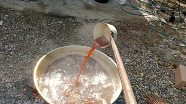 Geleneksel pekmez mesaisi başladı: Pekmez nasıl yapılır?