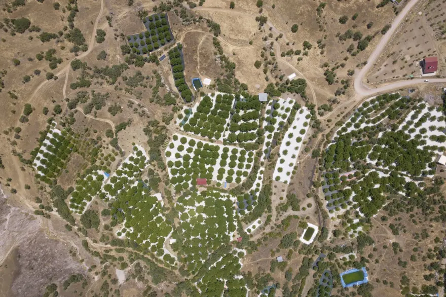 Coğrafi işaretli "Ulukale Dutu" geçim kaynağı oldu! Güneşin karşısında kurutuluyor, elekten geçirilerek hazırlanıyor 14