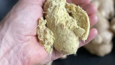 Pekmezin içine 1 kaşık ekleyince doğal antibiyotiğe dönüşüyor! Hem maliyetsiz hem faydalı: İlaç endüstrisinde ham madde olarak kullanılıyor