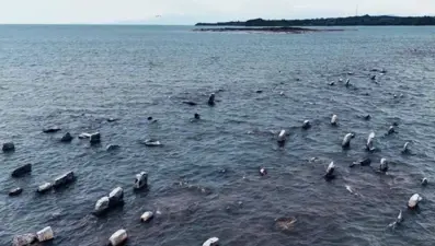 Sular çekildi, tarihi mezarlar definecilerin hedefi oldu