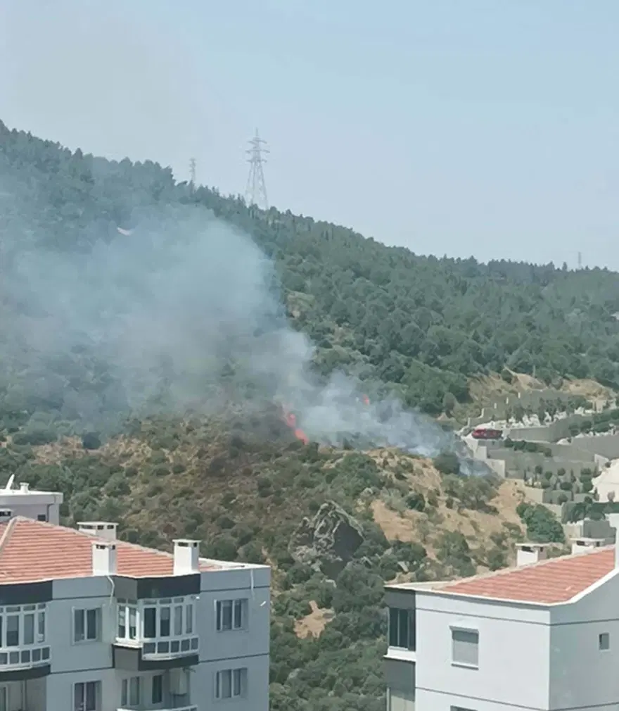 Yedi ilde orman yangını: Altısı kontrol altına alındı, birine müdahale sürüyor 