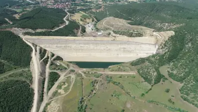 Yok olma tehlikesi bulunan "bağ havacivası": Su altında kalmaktan kurtarıldı