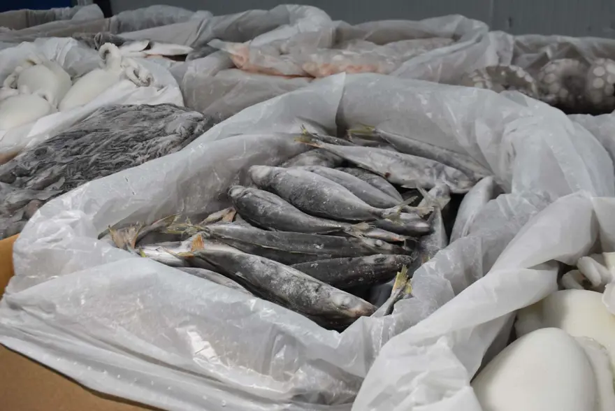 Balıkçılar limana erken döndü: Av sezonuna iklim değişikliği etkisi 4 Balıkçılar limana erken döndü: Av sezonuna iklim değişikliği etkisi 4