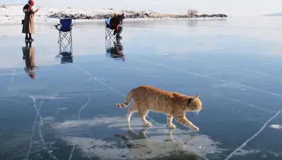 Vatandaşlar buz tutan Çıldır Gölü'nde bir araya geldi
