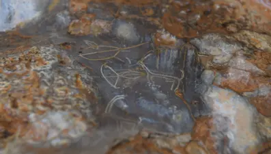 Mersin’de bir mağarada bulunan 8 bin yıllık kaya resimleri koruma altına alınıyor