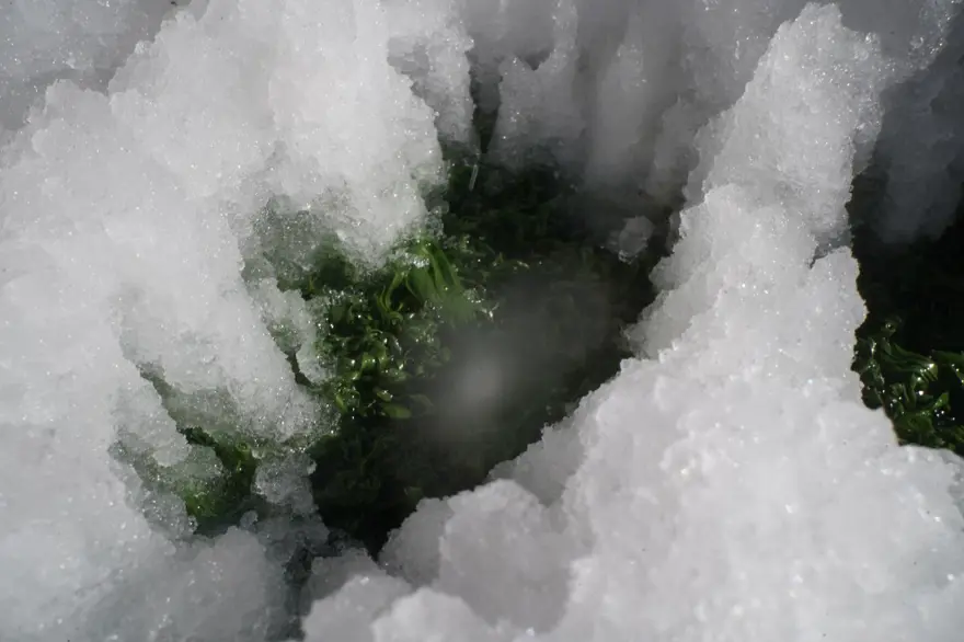 Ayder Yaylası'nda sonbahar ve kış birleşince ortaya kartpostallık görüntüler çıktı 2 Ayder Yaylası'nda sonbahar ve kış birleşince ortaya kartpostallık görüntüler çıktı 2