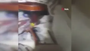 Kediyi kurtarmak için girdikleri enkazda depreme yakalandılar