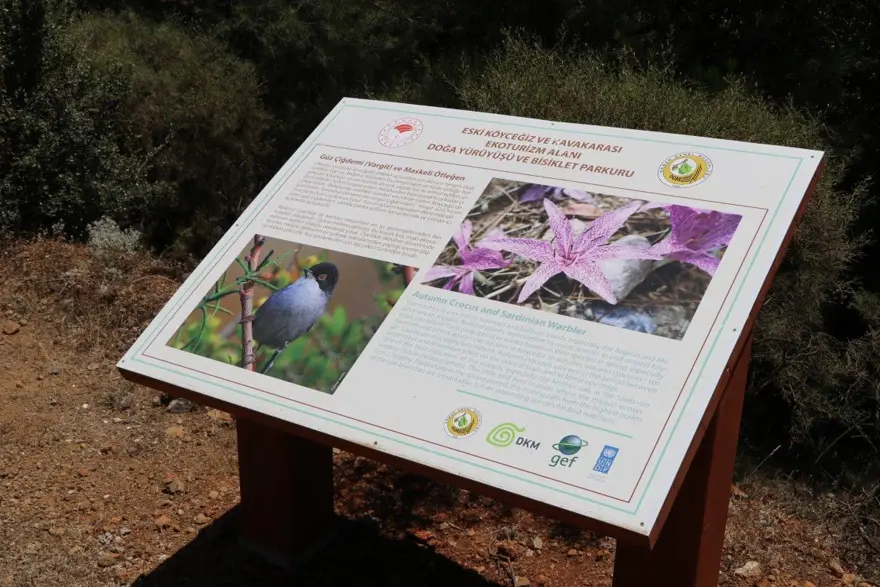 "4 KITAYI GEZDİM" 4