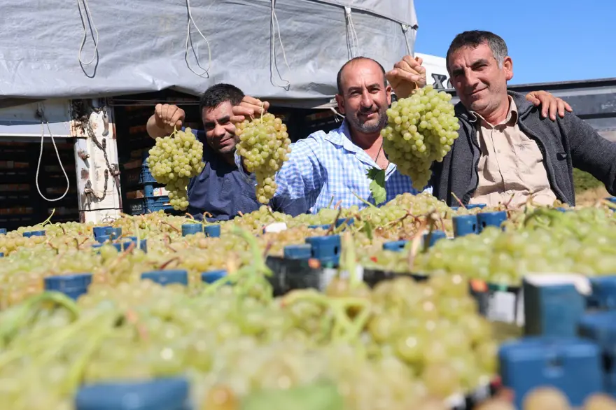 Kendi işini bırakıp baba mesleğine döndü: Şimdi 2 gün çalışarak 5 mühendis maaşı kazanıyor 3