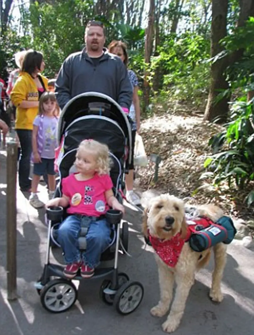 Çocuğun oksijeni köpeğin sırtında 7 Çocuğun oksijeni köpeğin sırtında 7