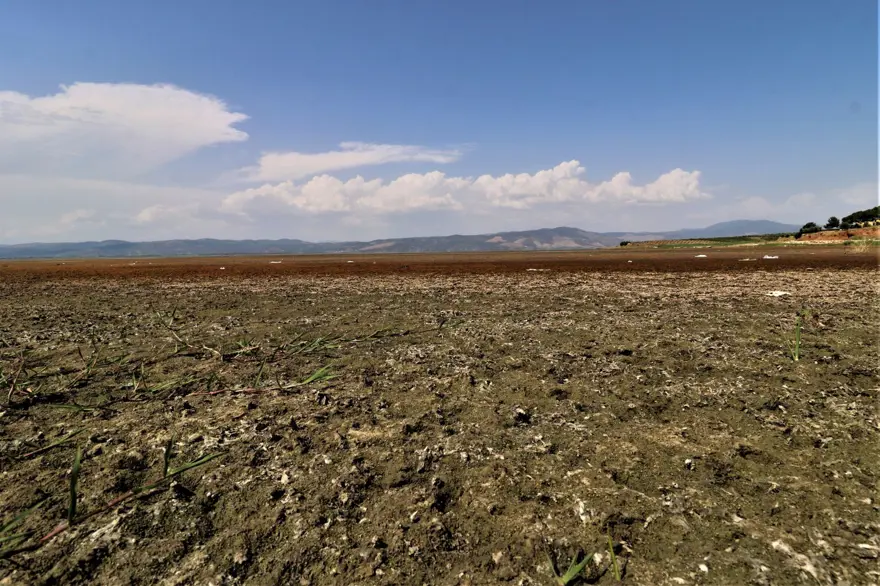 Bir zamanlar kuş cennetiydi, şimdi kuraklık tehlikesiyle karşı karşıya 3