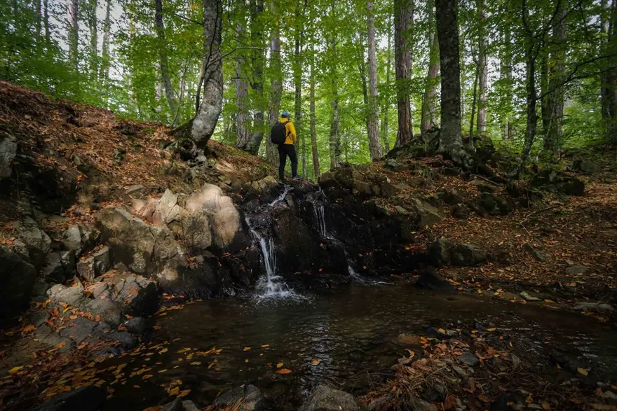 Doğa ve fotoğraf tutkunları, sonbahar renklerine bürünen Domaniç'te buluştu 9