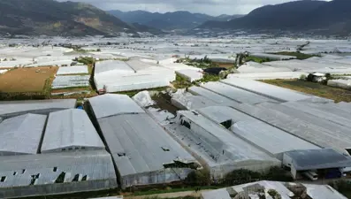 Mersin'de sağanak ve hortum: Seralar zarar gördü