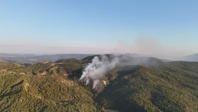 Bolu'da orman yangını çıktı