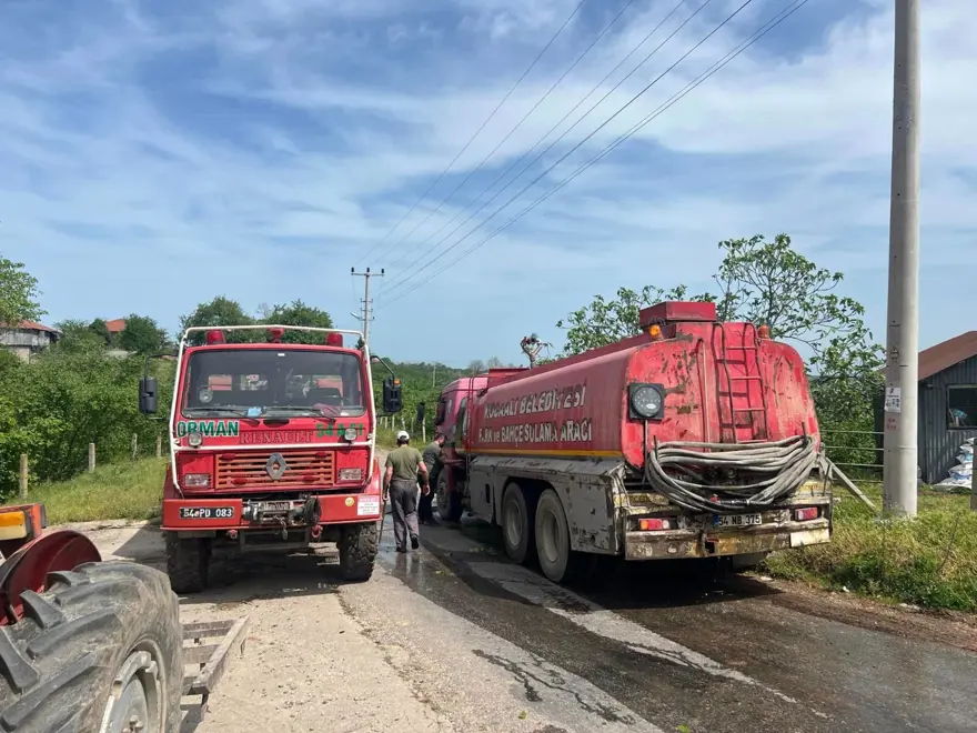 Temizlik için yakılan ateş ormanı yaktı 1