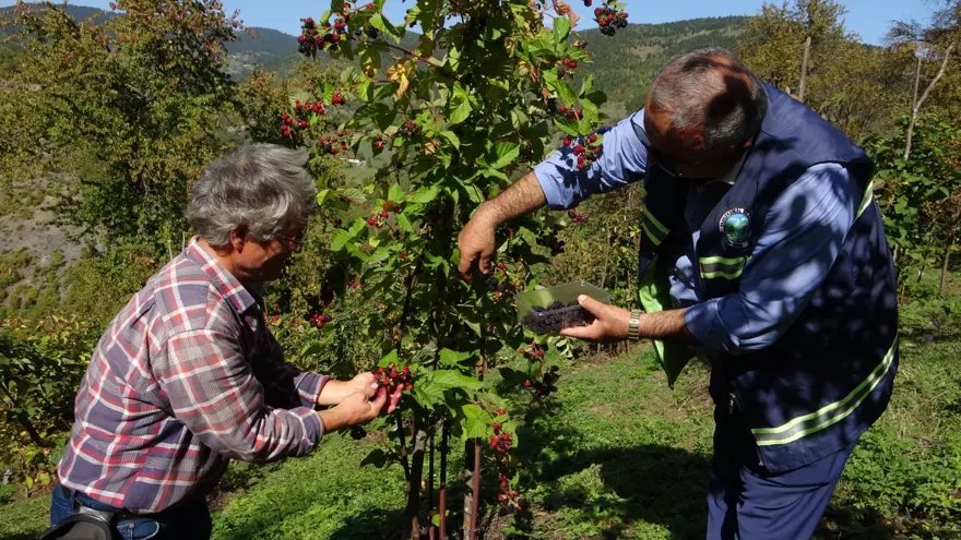 15 yıl önce köyüne döndü, üretmeye başladı: Doğanın şifasını sofralara taşıyor 
