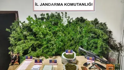 Karabük'te uyuşturucu operasyonu: Üç tutuklama