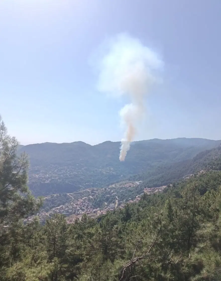 Alanya’da yerleşim yerlerine yakın bölgede orman yangını (Alevler kontrol altına alındı) 1 Alanya’da yerleşim yerlerine yakın bölgede orman yangını (Alevler kontrol altına alındı) 1