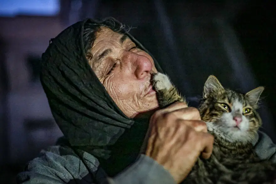 İdlib'de savaş mağduru kadın kedilerinden vazgeçmiyor 6 İdlib'de savaş mağduru kadın kedilerinden vazgeçmiyor 6