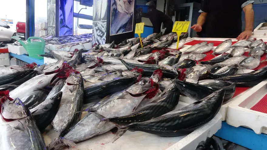 Havalar serinledi, tezgahta bolluk yaşanıyor: Tanesi 100 TL 10 Havalar serinledi, tezgahta bolluk yaşanıyor: Tanesi 100 TL 10