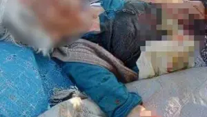 Sahipsiz köpeklerin saldırdığı yaşlı kadın ağır yaralandı