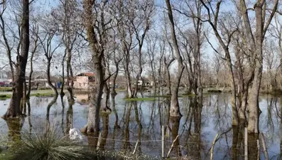 İlkbaharın gelişiyle fotoğraf tutkunları oraya akın etti: UNESCO Dünya Mirası Geçici Listesi'nde yer alıyor