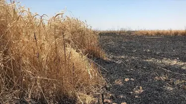 Irak'ta son bir ayda 40 bin dönüm tarım arazisi kül oldu