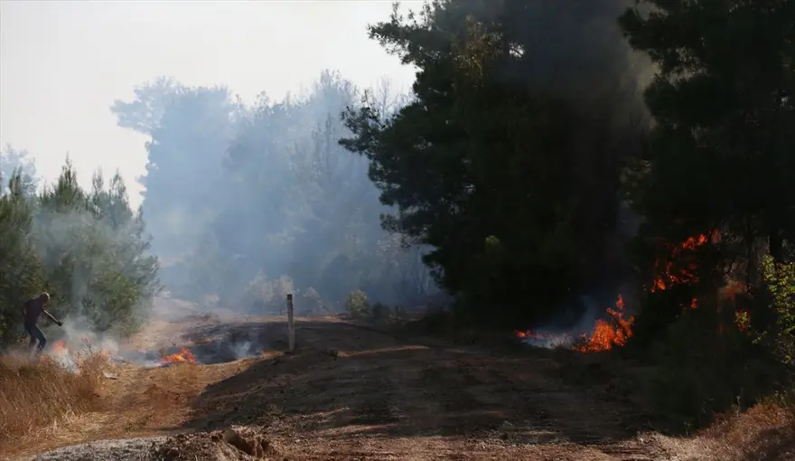 Çanakkale'deki orman yangını kontrol altına alındı 5