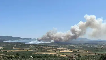 Kontrol altına alınan yangın yeniden başladı