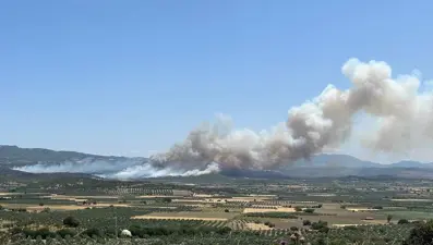 Kontrol altına alınan yangın yeniden başladı