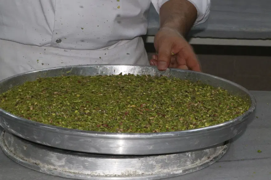Gaziantepli baklavacılardan Türk çıktığını açıklayan şarkıcı Halsey'e davet 9