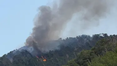 Denizli'de orman yangını