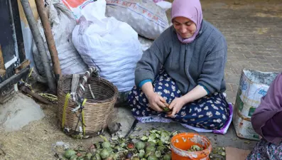 Tek tek toplayıp satışa hazırlıyorlar: En önemli geçim kaynaklarından biri