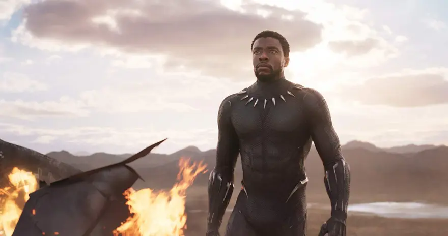 Black Panther oyuncularının geçmiş rolleri 43