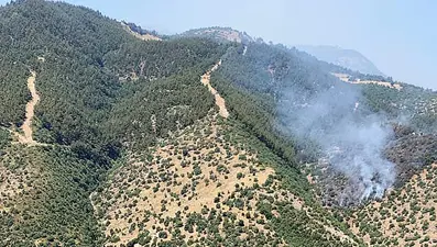 Manisa'da orman yangını