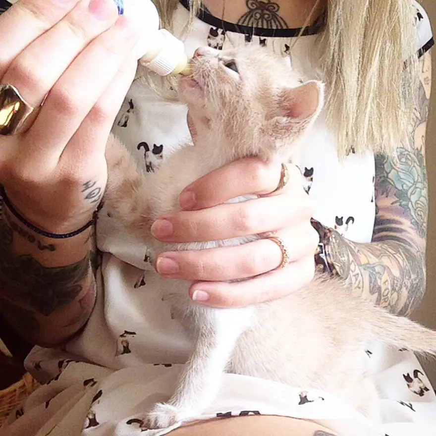 Hayatını kedileri kurtarmaya adadı 14