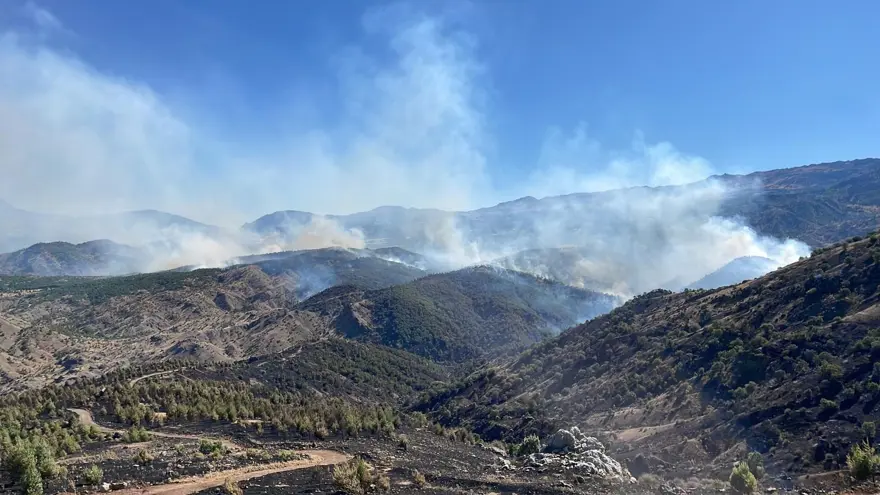 Adıyaman’da yangın: Bir anda büyüdü, ekiplerin müdahalesisürüyor 3