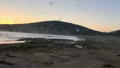 Önce kuraklık vurdu, şimdi sinek istilası başladı: “Sokaktagezmek mümkün değil”