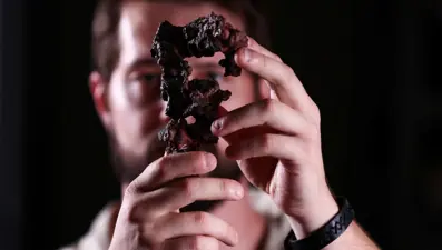 237 milyon yıllık gizemli fosil: Dinozorların ortaya çıkışına ışık tutuyor