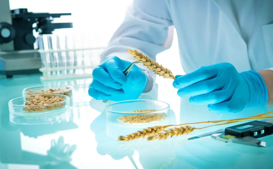 AKDENİZ DİYETİ HAKKINDA 8