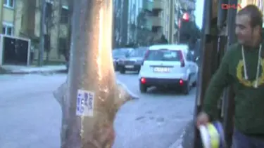 Yarım tonluk köpek balığı yakalandı