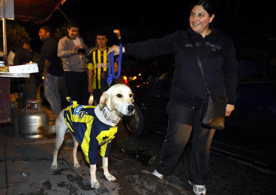 Her yer sarı lacivert 39