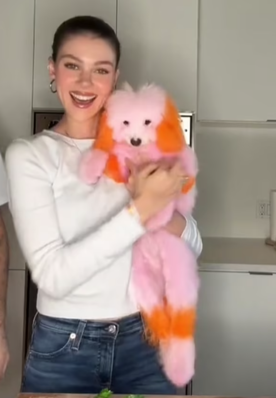 Köpeklerini boyatan Beckham çifti tepki çekti 2 Köpeklerini boyatan Beckham çifti tepki çekti 2