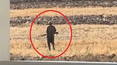 ''Ördeklerimi ve tavuklarımı yediler'' deyip 2 köpeği tüfekle vurdu