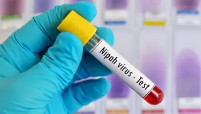 Hindistan'daki Nipah virüsü salgınında ölenlerin sayısı 12'ye çıktı