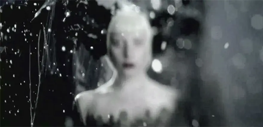 Gaga'dan homoerotik bir askeri fantezi 9