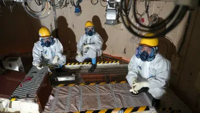 Fukuşima’nın toprağına çiçek ekilecek! Tokyo planı devrede