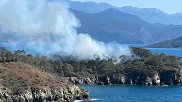 Muğla'da ormanlık alanda çıkan yangın söndürüldü