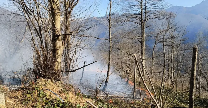 Trabzon’da örtü yangını: Ekipler müdahale ediyor 2